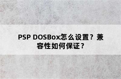 PSP DOSBox怎么设置？兼容性如何保证？